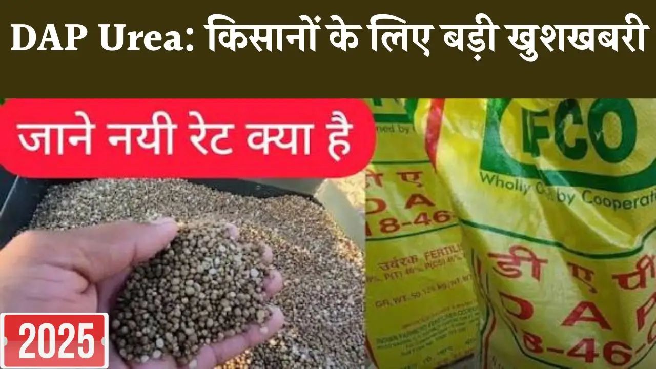 DAP-Urea