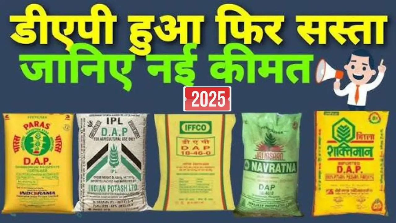 DAP urea