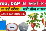 sprey of urea and dap